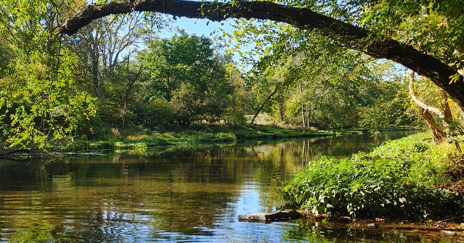 The North Branch of Neshaminy Creek near Doylestown on a sunny early-fall day, framed by an arching tree branch.