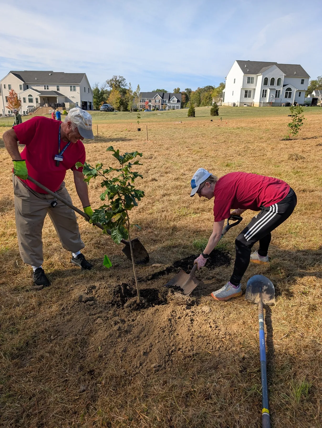 Volunteers planting trees to restore watershed habitat
